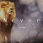 Never Giving Up - Fearless Soul