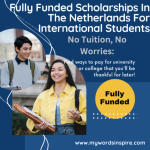 No Tuition, No Worries: Fully Funded Scholarships In The Netherlands For International Students